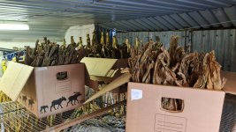 Tofta malning 2.jpeg