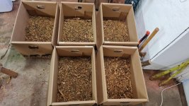 PY KY 171 2024-10-07 1.jpeg