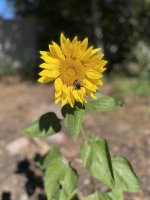 IMG_5108.jpeg