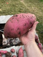 IMG_5131.jpeg
