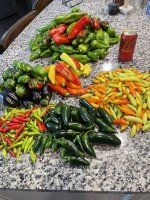 IMG_5125.jpeg