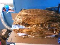 2012 pile_0002.jpg