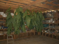 new shed 002.JPG