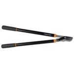 limb loppers.jpg