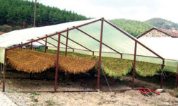 34235234534256 (43).jpg