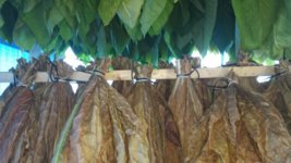 20130817_131704.jpg