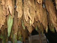 big shed pics 013.JPG