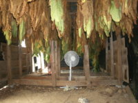 big shed pics 014.JPG