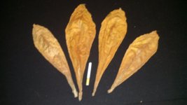 IMG_20130820_201728_366.jpg