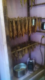 IMG_20130823_181716_418.jpg
