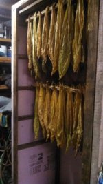 IMG_20130826_193313_560.jpg