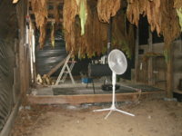 inside the shed 004.JPG