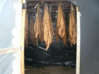 Boots n Bacco 025.JPG