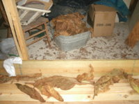 Boots n Bacco 027.JPG