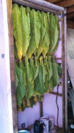 IMG_20130831_140447_680.jpg