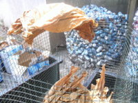 steps in the process 009.JPG
