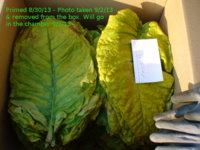 samsun box yellow.JPG samsun box yellow.JPG