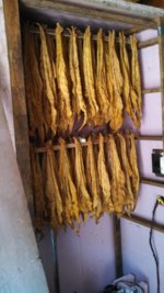 IMG_20130907_112100_924.jpg