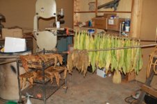 cure assembly line.jpg cure assembly line.jpg