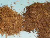 2-tobaccos_SM.JPG
