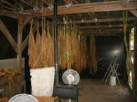 hangin in the shed 003.JPG