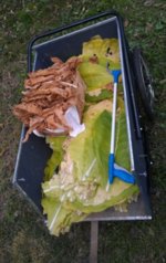 bacca 2013 priming.jpg bacca 2013 priming.jpg