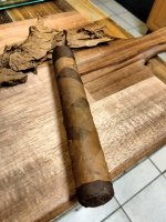 IMG20250205214921.jpg IMG20250205214921.jpg