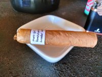 IMG20250206124341.jpg IMG20250206124341.jpg