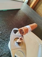 IMG20250206124430.jpg IMG20250206124430.jpg