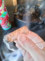 IMG20250206132124.jpg IMG20250206132124.jpg