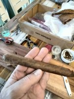 IMG20250207140829.jpg IMG20250207140829.jpg