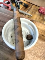 IMG20250207145919.jpg IMG20250207145919.jpg