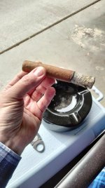 IMG20250214115309.jpg IMG20250214115309.jpg