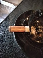 IMG20250214145559.jpg IMG20250214145559.jpg