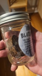 BLVAP2.jpg