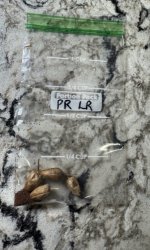 IMG_5840.jpeg