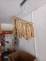 IMG_20250420_092941751.jpg