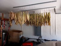 IMG_20250509_092124252.jpg