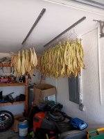 IMG_20250509_092146274.jpg