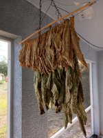IMG_20250509_092305594.jpg