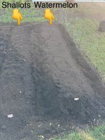 IMG_1624.jpeg
