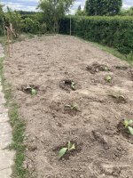 IMG_4581.jpeg IMG_4581.jpeg