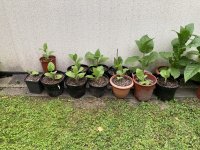IMG_4822.jpeg IMG_4822.jpeg