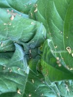 IMG_5057.jpeg
