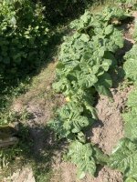 IMG_5101.jpeg