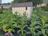 20250629_203910.jpg 20250629_203910.jpg