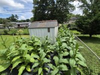 20250706_124725.jpg 20250706_124725.jpg