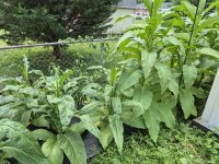 20250706_124904.jpg 20250706_124904.jpg