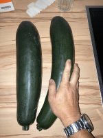 IMG_5416.jpeg IMG_5416.jpeg