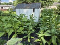 20250713_162119.jpg 20250713_162119.jpg